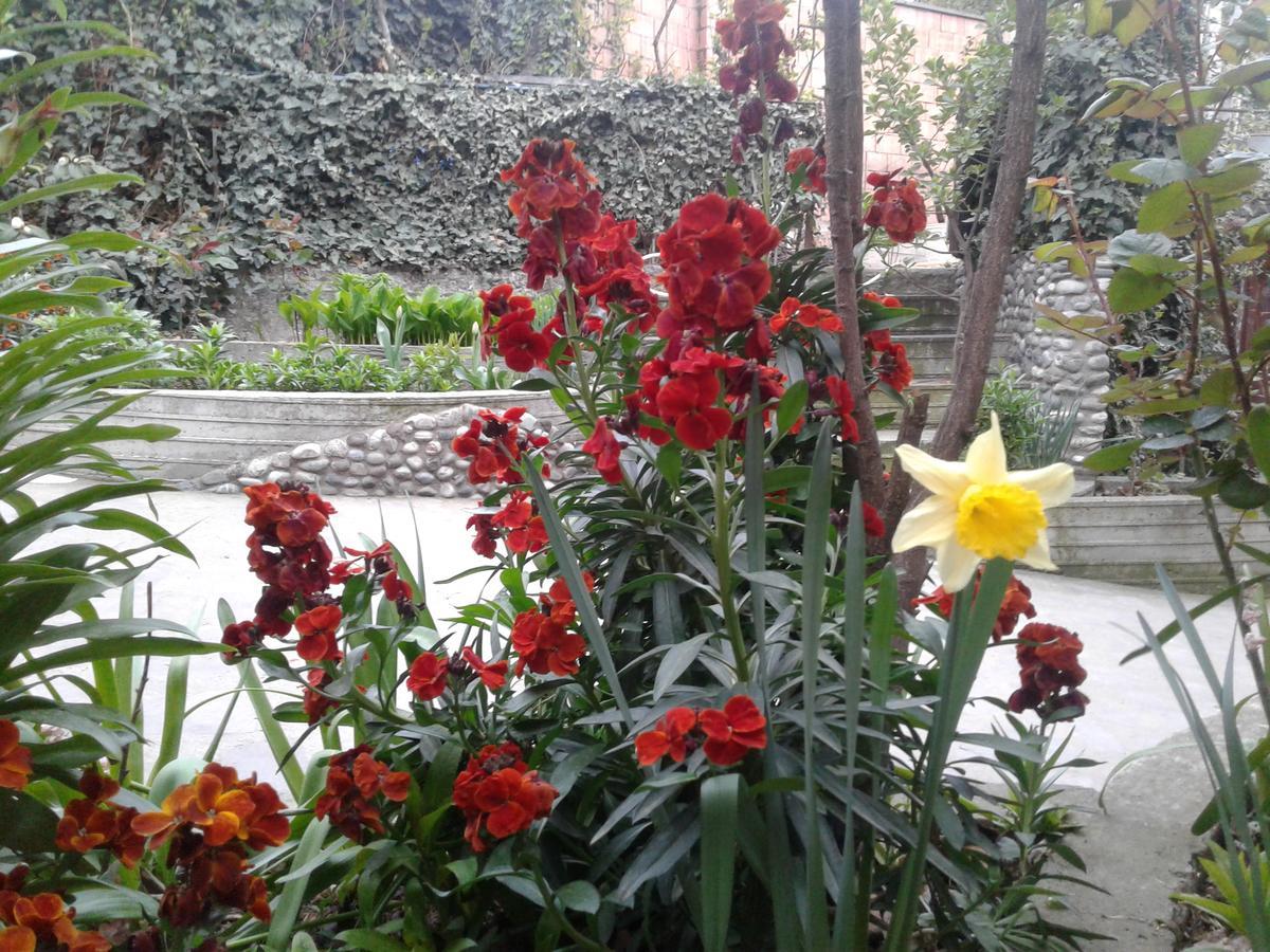 Guest House Edem Tbilisi ภายนอก รูปภาพ